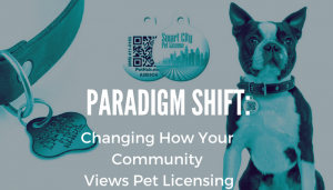 paradigm shift title image with blue boston terrier with pethub tag